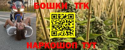 spice Гусев