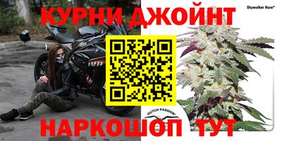 spice Гусев