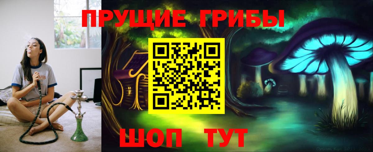 Псилоцибиновые грибы Psilocybe  Вход с VPN  Лысьва 